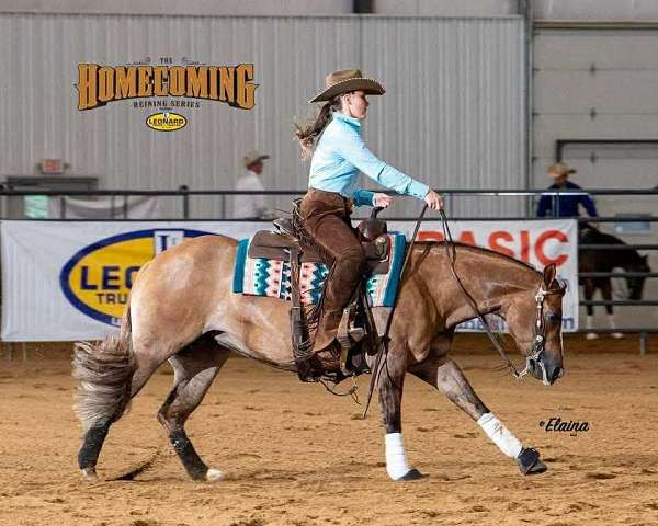 roping-quarter-horse
