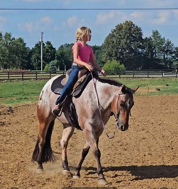 ranch-poa-horse