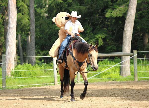 athletic-quarter-horse
