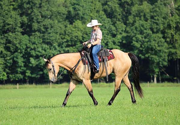 flashy-quarter-horse