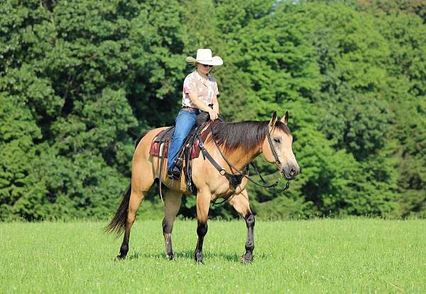 ranch-versatility-quarter-horse