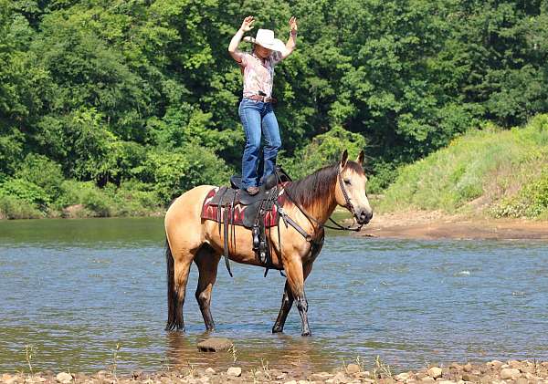 roping-quarter-horse