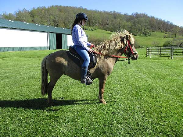 west-virginia-mare