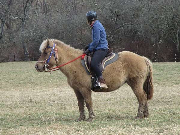 chocolate-usihc-mare