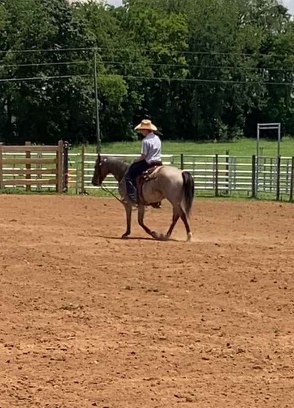 quarter-horse-for-sale