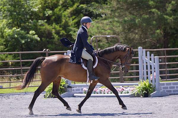 a-few-hairs-might-qualify-star-pony