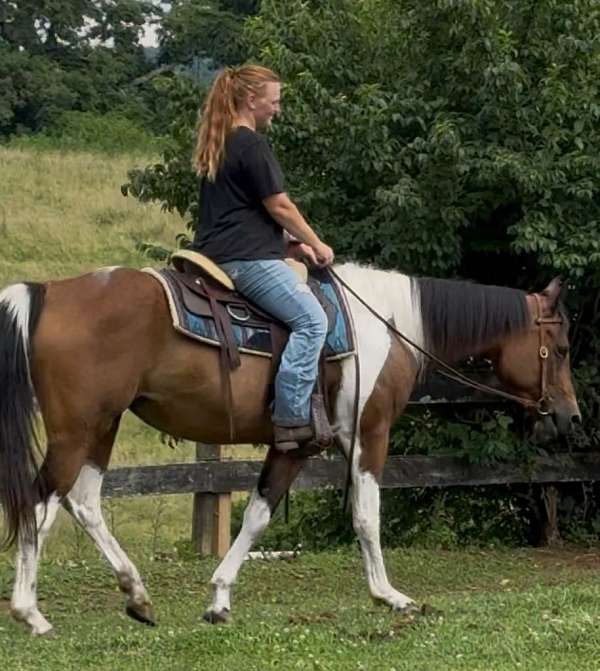 family-paint-horse