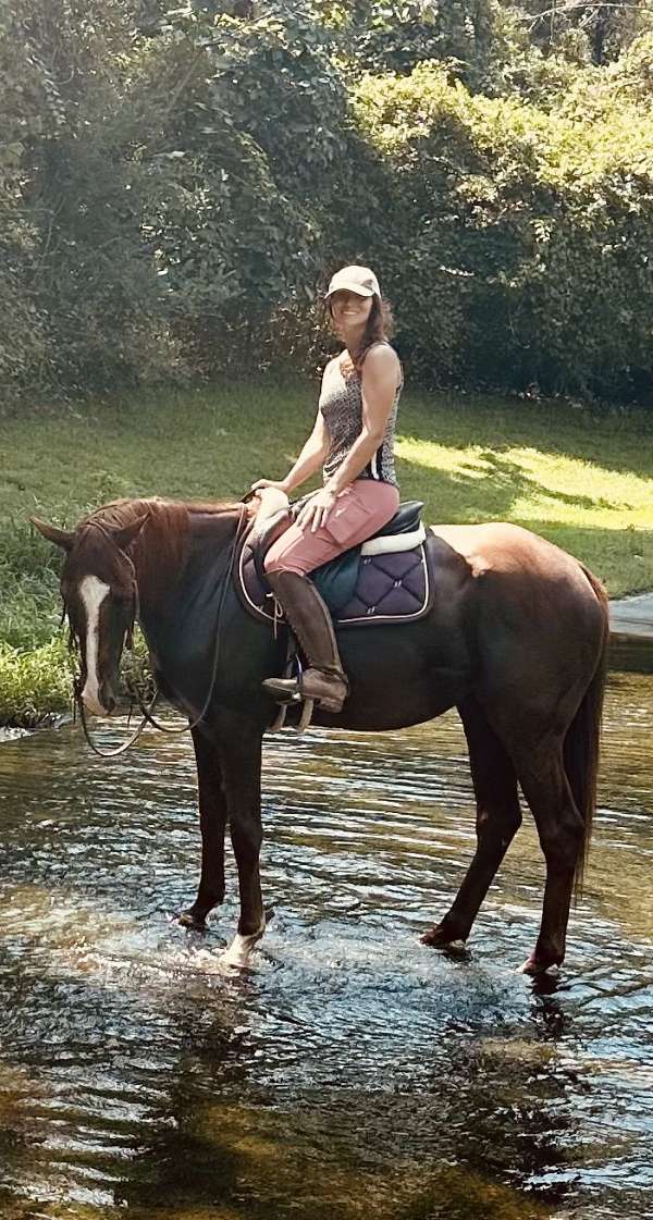 thoroughbred-horse