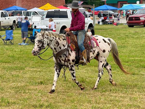 ranch-versatility-appaloosa-horse