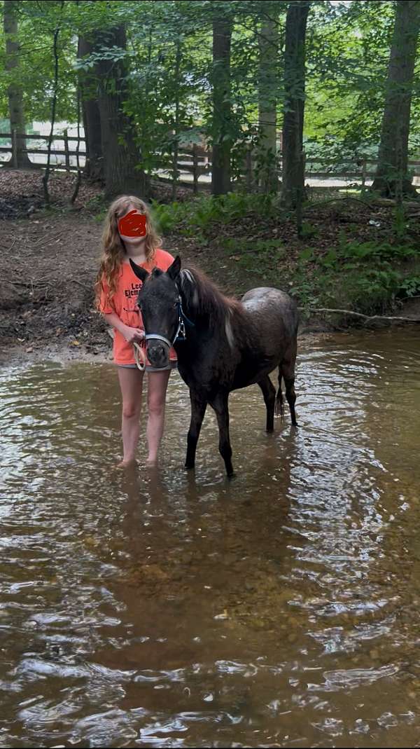 roan-mottling-around-eyesnose