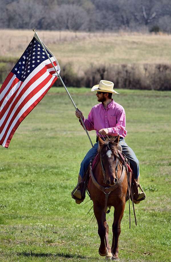 ranch-versatility-paint-horse