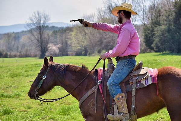 ranch-paint-horse