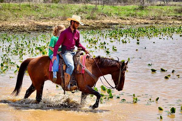 ranch-work-paint-horse
