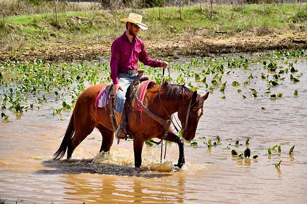 ridden-western-paint-horse