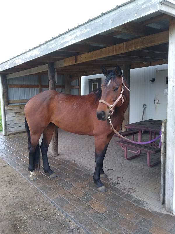 appendix-mare