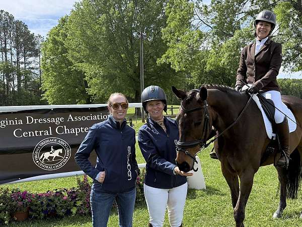athletic-thoroughbred-horse