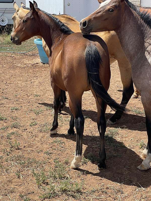 athletic-heel-colt