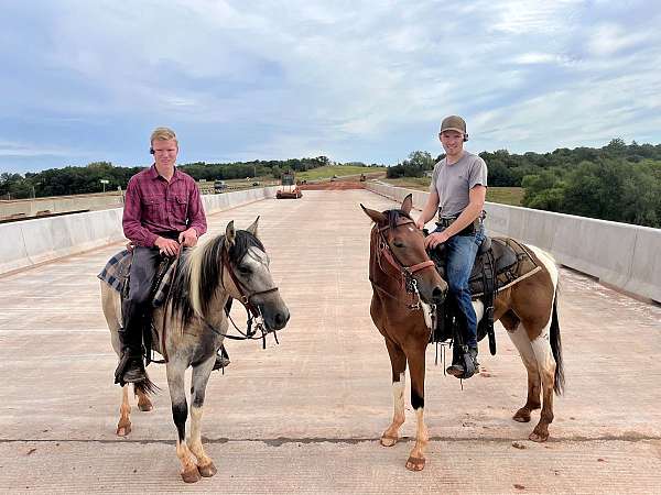 barrel-racing-quarter-horse