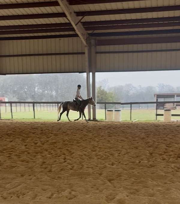 athletic-mustang-horse