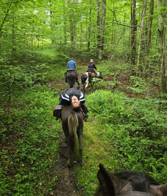 trail-riding-tennessee-walking-horse