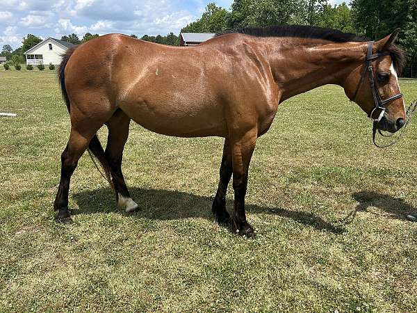 blaze-horse