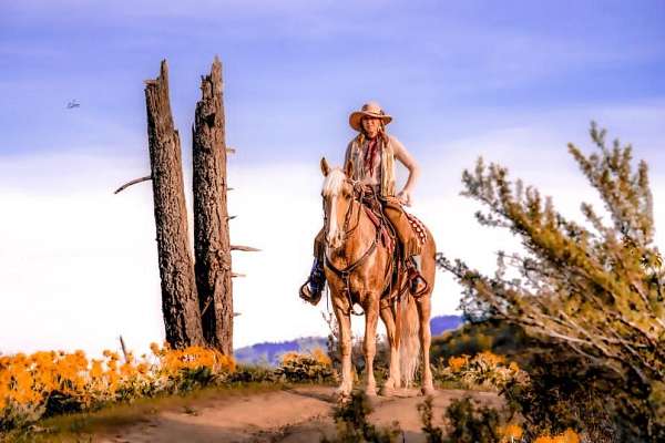 see-pictures-horse