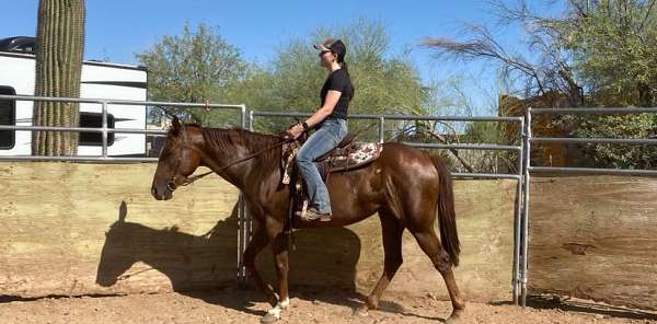 athletic-appendix-horse