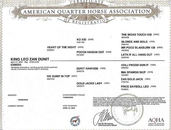 rawhides-dunit-quarter-horse
