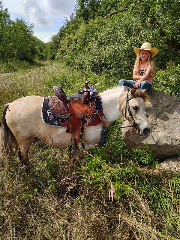 flashy-miniature-pony