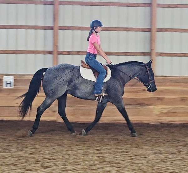 calf-roping-quarter-horse