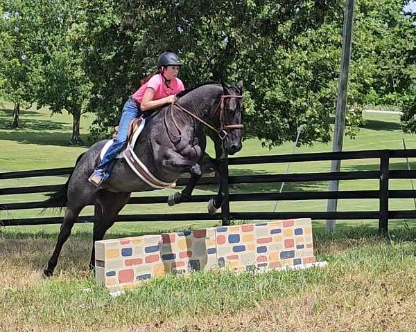 flashy-quarter-horse