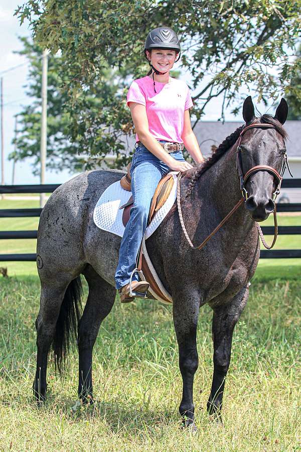 ranch-quarter-horse