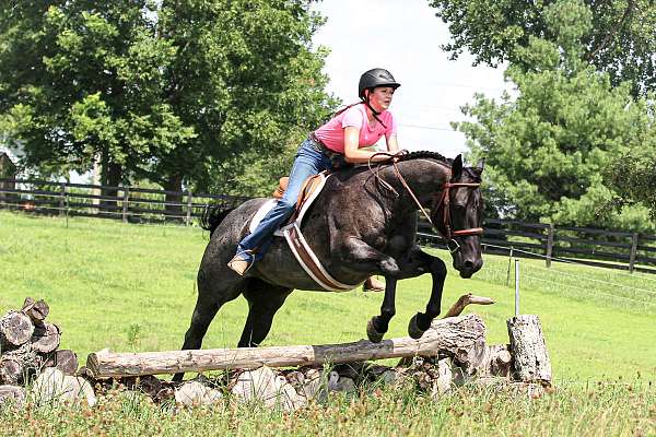 ranch-versatility-quarter-horse