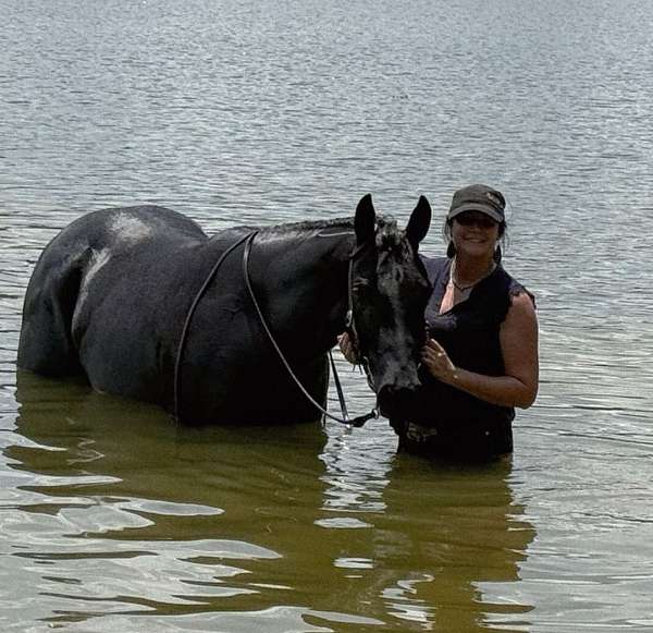 ranch-work-quarter-horse