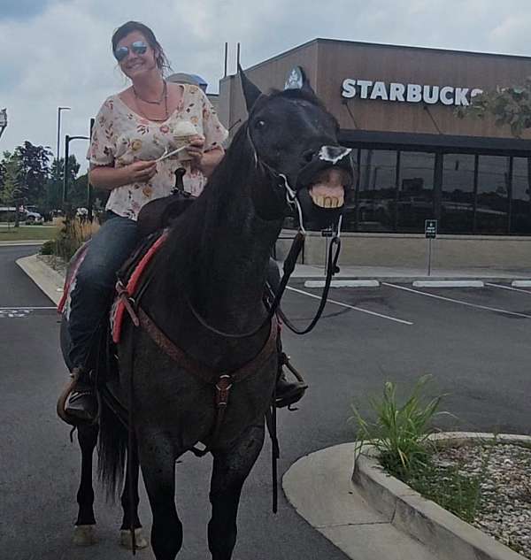 roping-quarter-horse