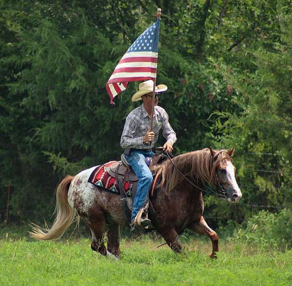 ranch-work-gypsy-vanner-horse