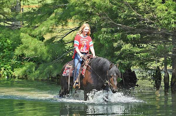 athletic-friesian-horse