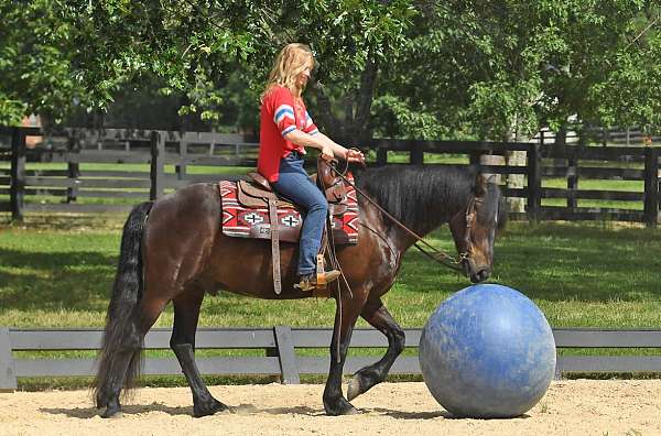 gentle-friesian-horse