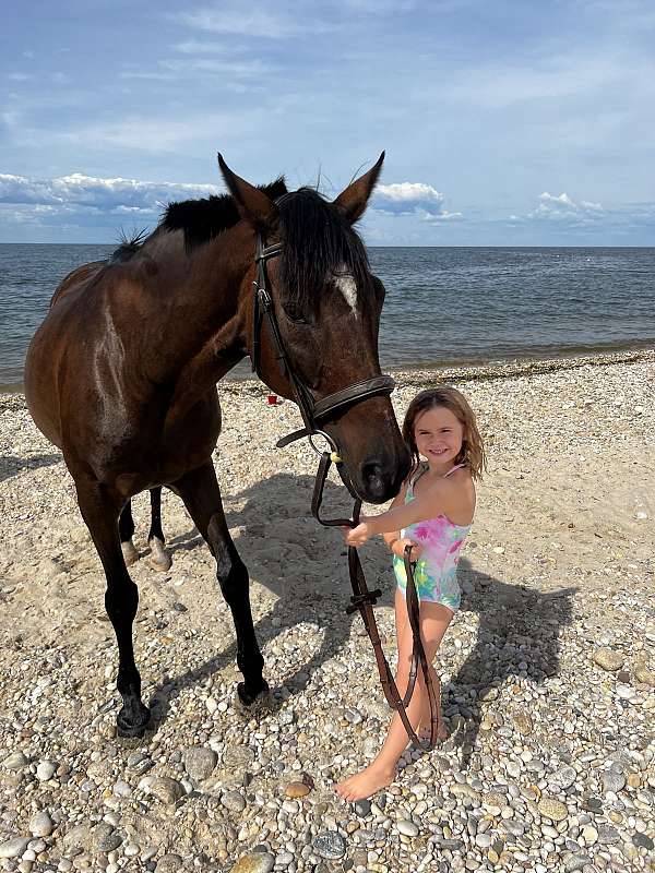thoroughbred-mare