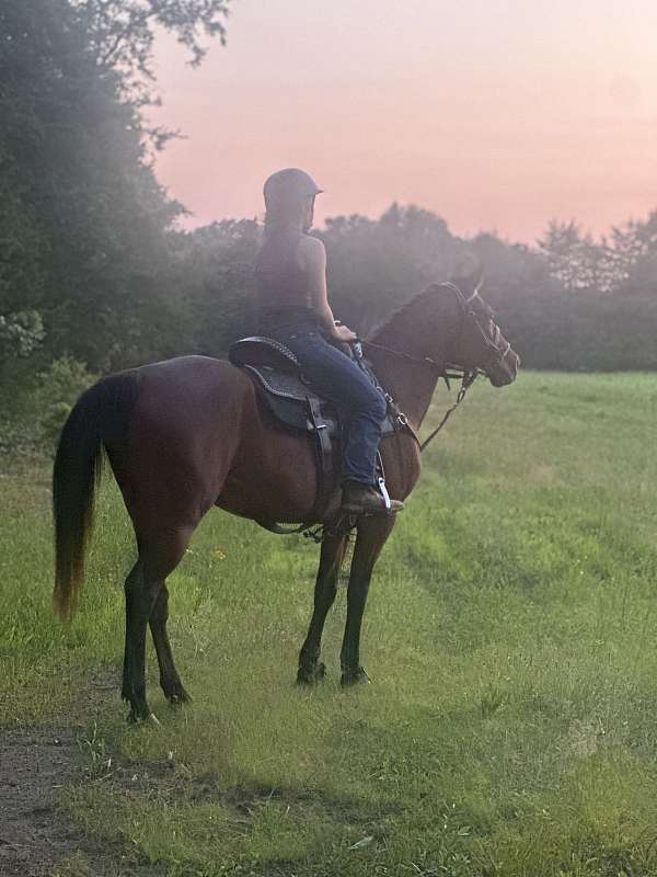 cowboy-mounted-shooting-quarter-horse