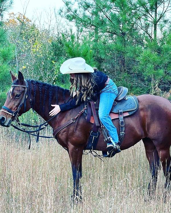 ridden-western-quarter-horse