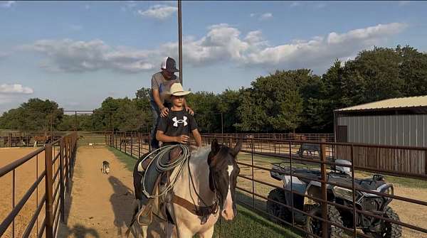 cowboy-mounted-shooting-draft-horse