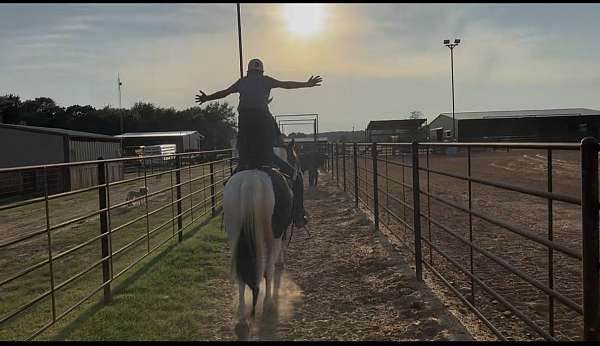 cross-draft-horse