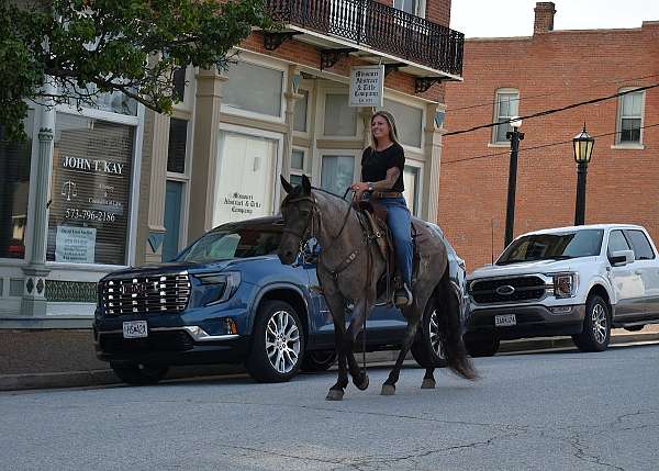 barrel-racing-missouri-fox-trotter-pony