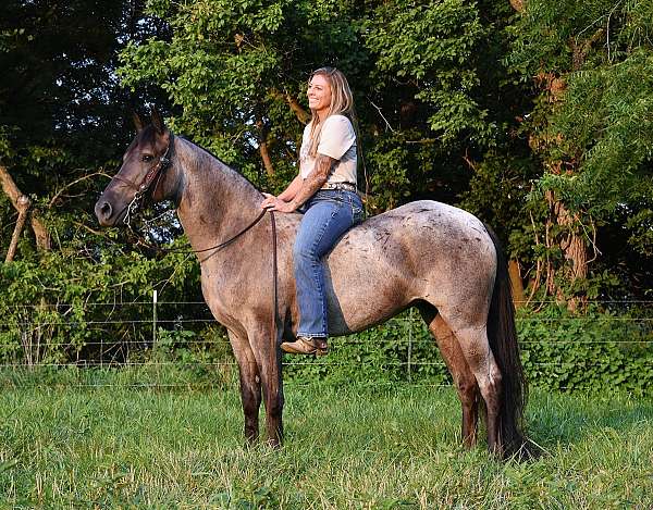 gentle-pony-mare