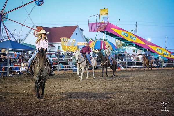 western-pony-mare