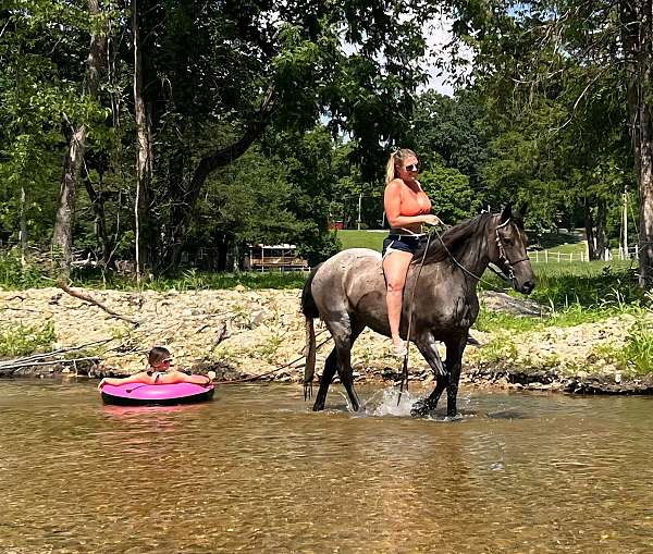online-pony-sales-mare