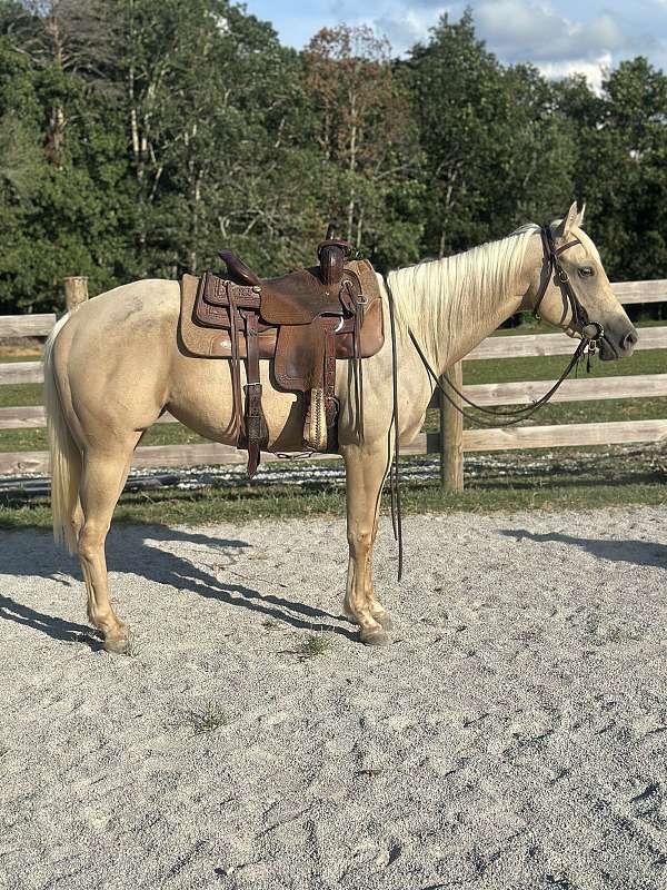 cross-kid-safe-filly