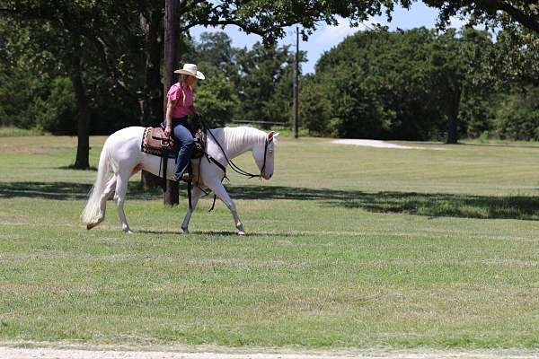 ranch-versatility-quarter-horse