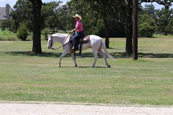 ranch-work-quarter-horse